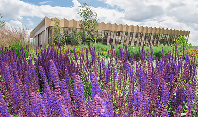 EBI South Building at the Wellcome Genome Campus